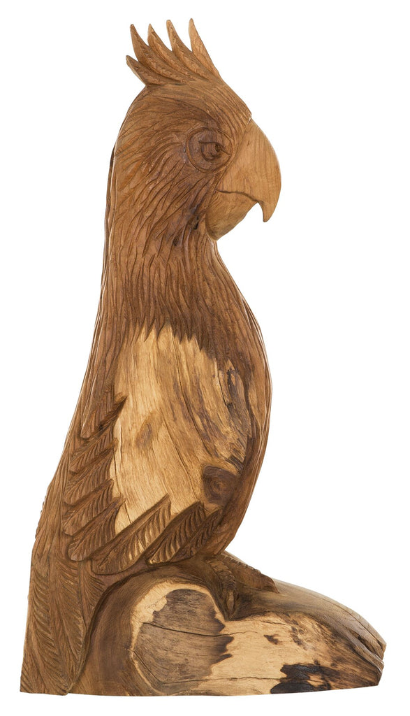 Parrot Rio