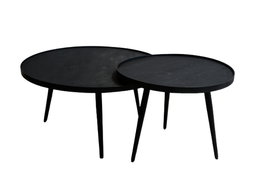 Coffee Table (Set of 2)